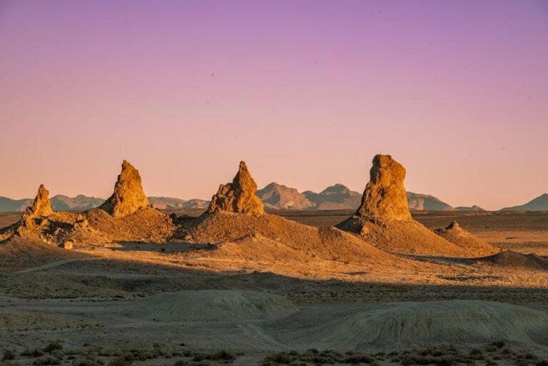 Is California a Simulation? Exploring Reality and Self-Discovery