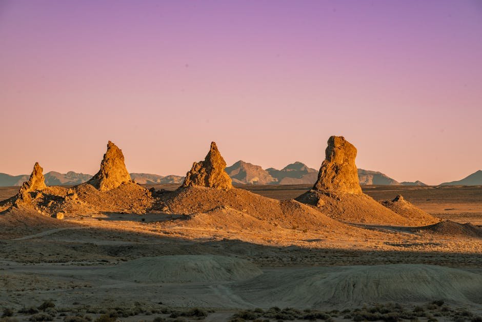 Is California a Simulation? Exploring Reality and Self-Discovery