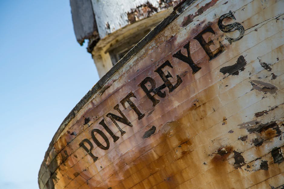 Unveiling California's Maritime Past: Shipwrecks, Survival, and Coastal Museums