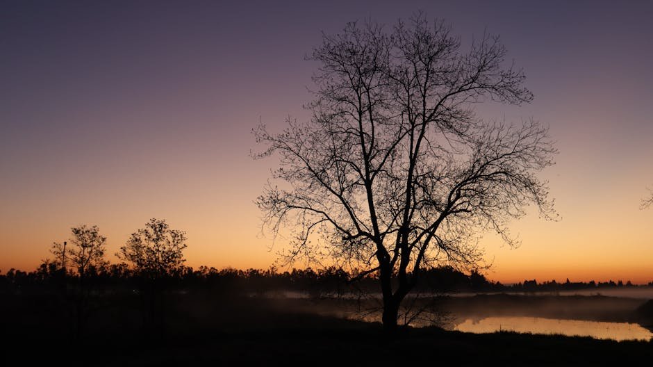 Win Your Day: The Ultimate California Morning Routine for Travelers
