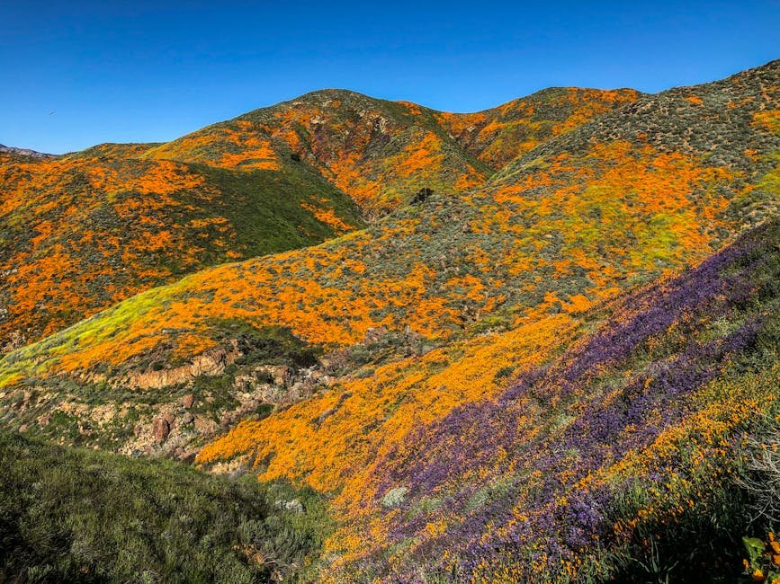 Unveiling California's Natural Wonders: A Journey Through Diverse Landscapes
