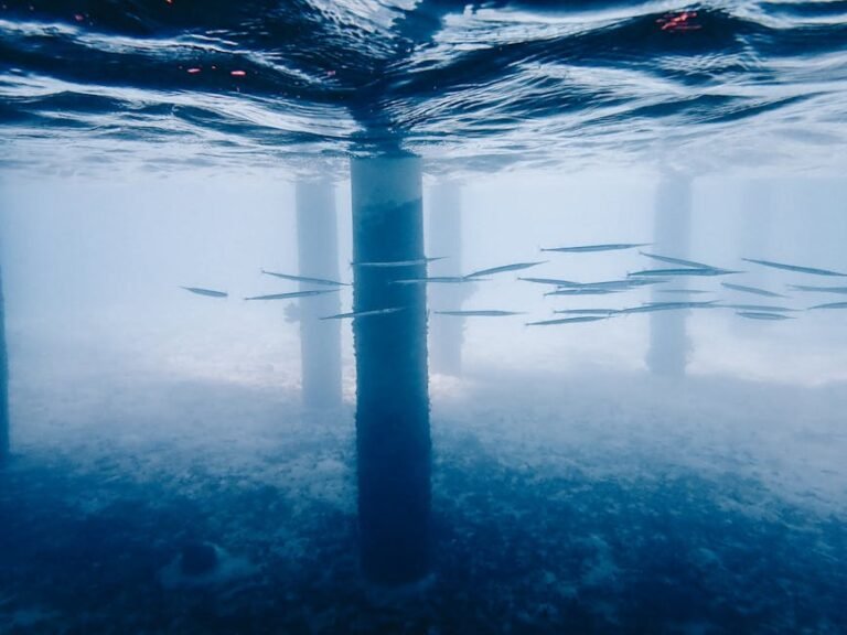 Future Underwater Living: Exploring Marine Tech, Design, & Vision for Coastal California