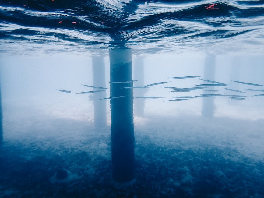 Future Underwater Living: Exploring Marine Tech, Design, & Vision for Coastal California