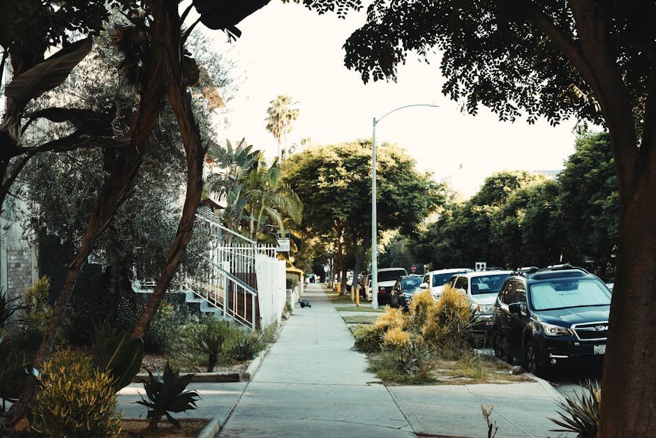 The Starbucks Effect: Decoding Desirable California Neighborhoods for Travelers