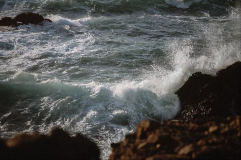 Beyond the Surface: Understanding Ocean Waves on the California Coast
