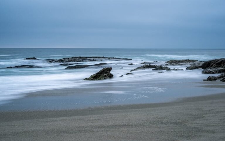 Never Lose Your California Travel Photos: The Ultimate Backup Guide