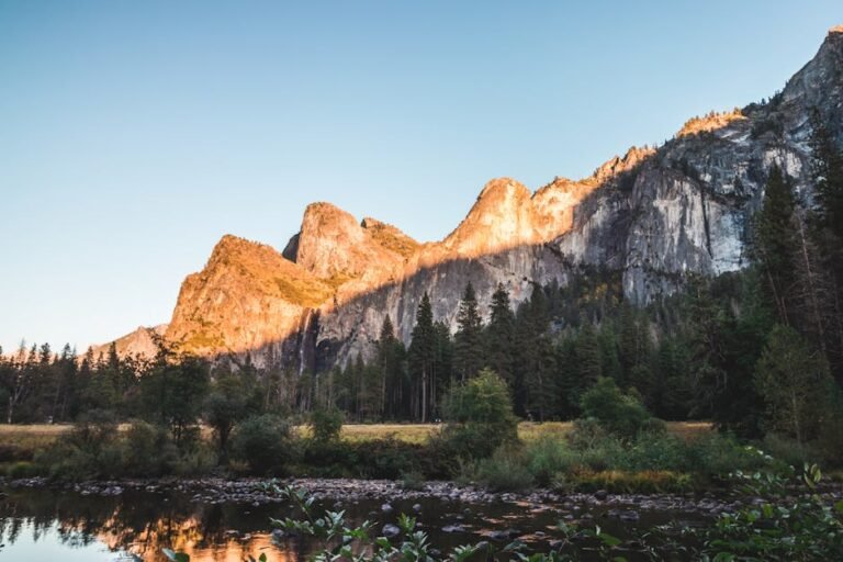Phantom Vibrations to Pristine Vistas: Your Guide to a California Digital Detox