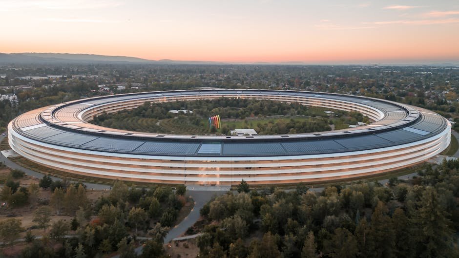 Silicon Valley Travel Guide: Explore the Birthplace of Tech Giants in California