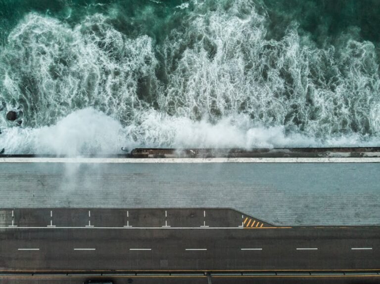 California's Wild Coast: Lessons from the Deep Sea's Fury