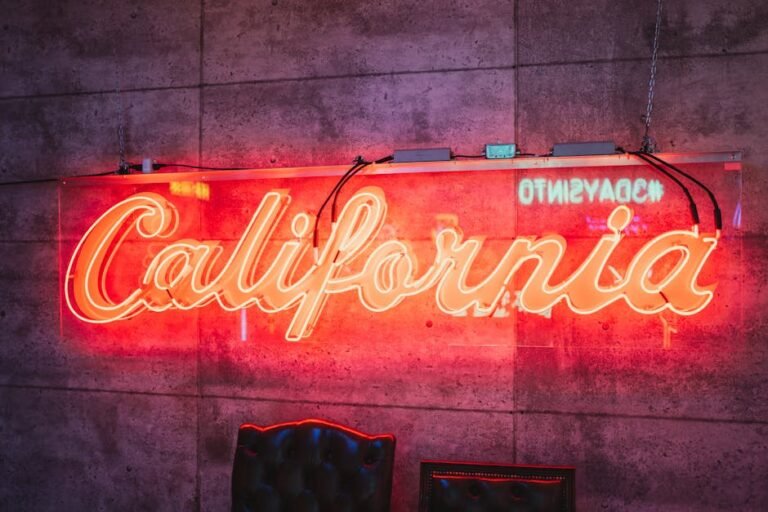Illuminate Your California Journey: DIY LED Projects for Travelers & Local Businesses
