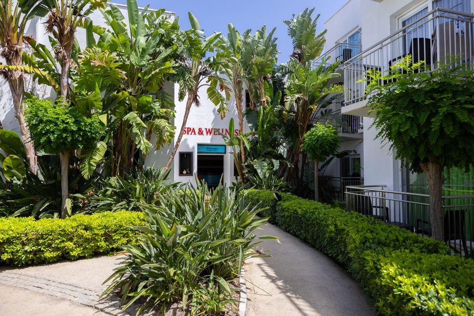 Rejuvenate Your Spirit: Top California Wellness Retreats for a Mindful Escape
