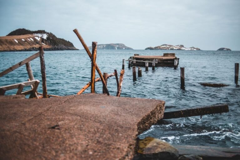 Unveiling the Tragic Past of North Brother Island: NYC's Forgotten Quarantine Haven